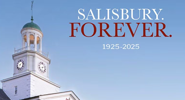 Centennial Book cover