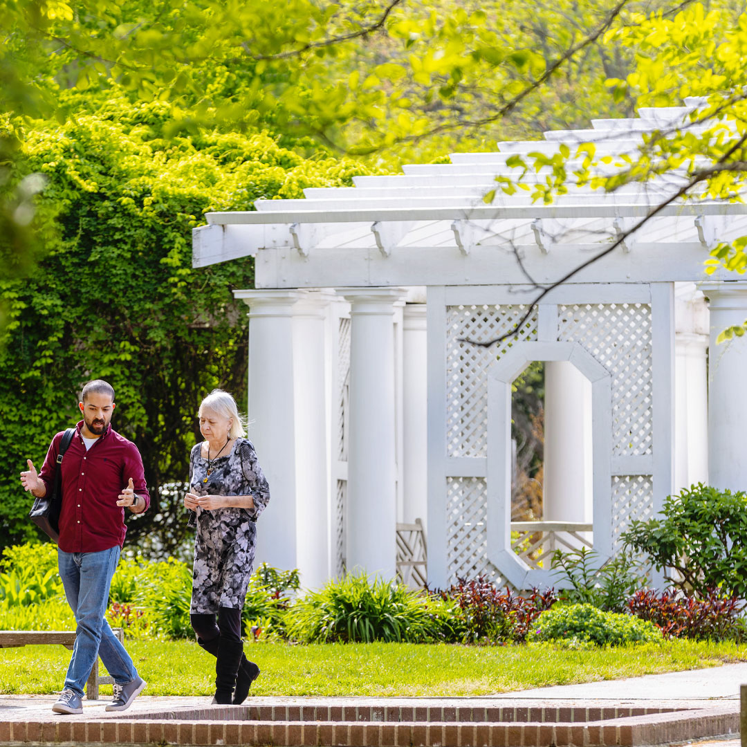 SU campus greenery