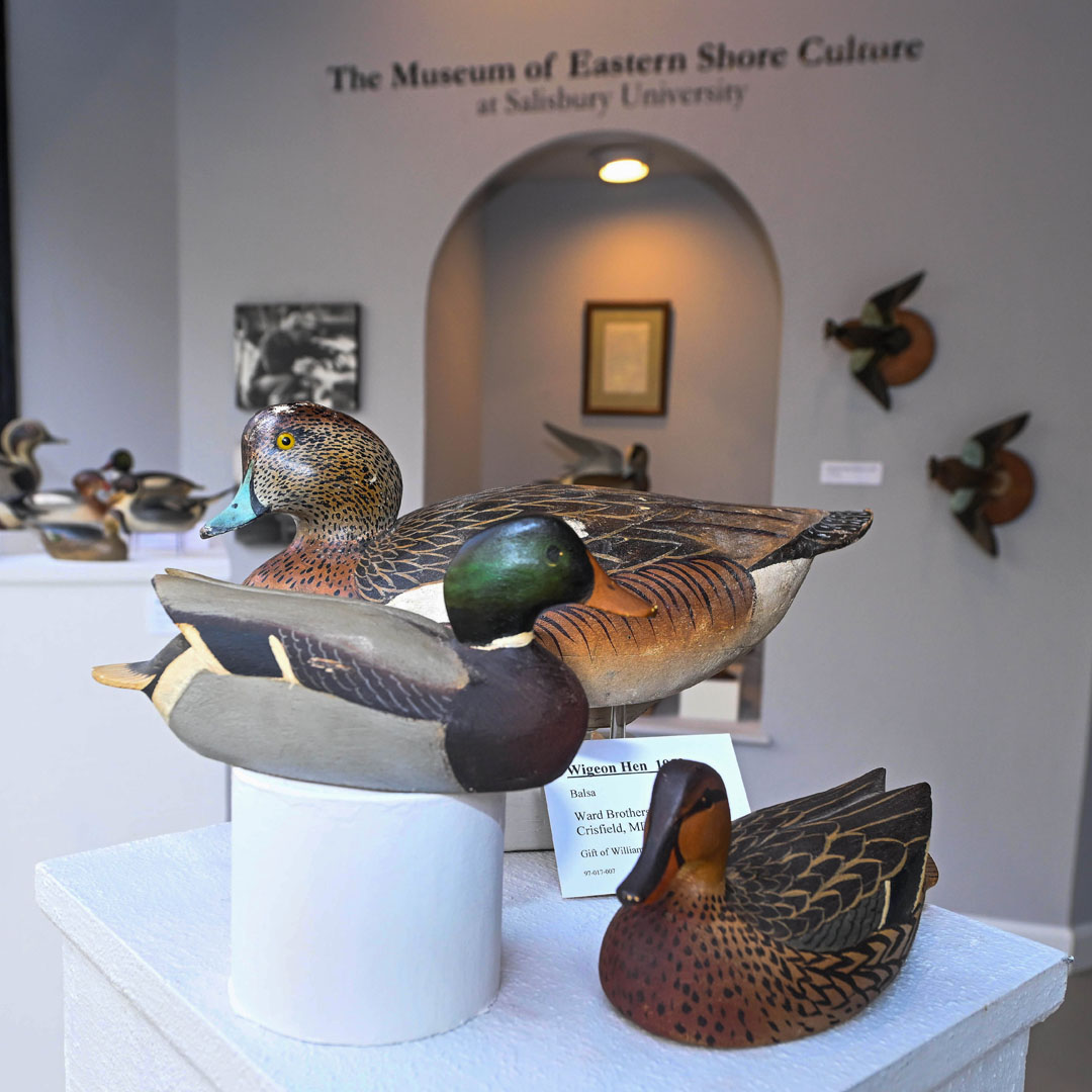Museum of Eastern Shore Culture at Salisbury University